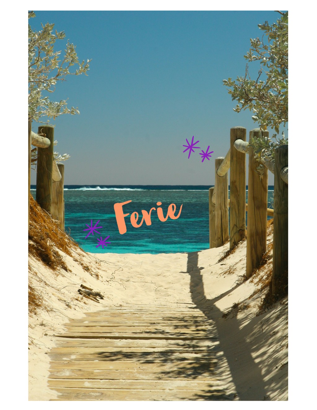 Estate: Cuore e Intestino&nbsp;Tenue